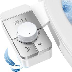 Understanding What Is a Bidet Toilet Explained