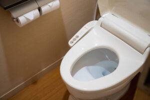 Understanding What Is a Bidet Toilet Explained